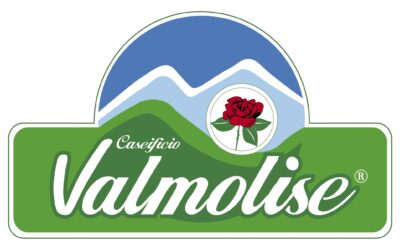 Caseificio Valmolise Srl